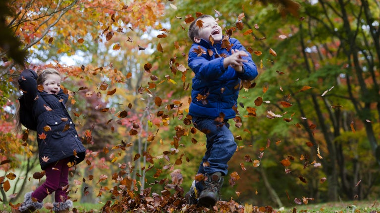 Plant yn chwarae yn nail yr hydref yng Ngardd Bodnant, Conwy, Cymru, ym mis Hydref